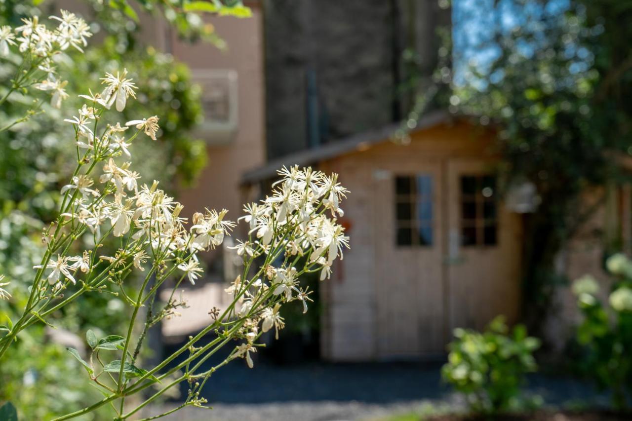 B&B La Chicca Brenzone sul Garda Zewnętrze zdjęcie